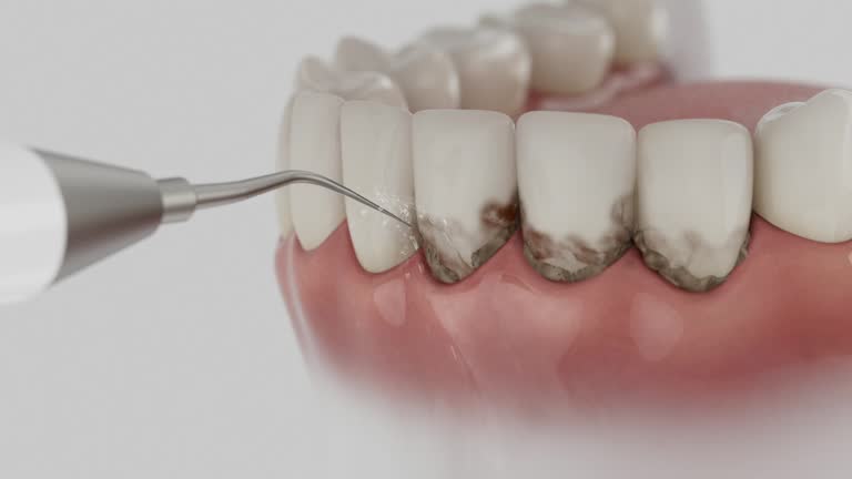 Reliable Dental contractor in Granite Bay, CA by Dentist Open Now